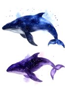 Cosmic whales painted in watercolor style featuring starry night sky patterns in blue and purple hues, isolated on white background for creative projects.