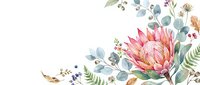 Watercolor protea flower with eucalyptus leaves and botanical elements on white background, isolated for wedding invitations, greeting cards, and design projects.