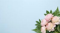 Soft pink peonies with green fern leaves arranged on light blue background with copy space for wedding invitations and romantic designs.