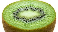Fresh kiwi fruit slice showing vibrant green flesh with black seeds in circular pattern, isolated on white background for healthy food designs.