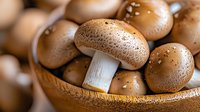 Fresh brown champignon mushrooms with water drops in wooden bowl, macro food photography showing natural texture and details. For cooking and menu design.