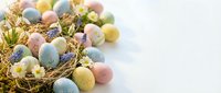 Colorful Easter eggs in pastel shades nestled in natural straw nest with spring flowers on white background for holiday decorations and seasonal celebrations.