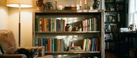 Cozy home library interior with wooden bookshelf filled with colorful books, warm lighting from floor lamp, comfortable leather armchair for reading relaxation.