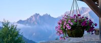 Hanging flower basket with purple petunias on wooden balcony overlooking mountain landscape at sunset creating peaceful alpine atmosphere for home decor.