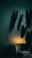 Dramatic plant shadows cast on wall creating moody atmosphere in modern living room with armchair and warm lighting for interior design concepts.