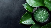 Fresh aloe vera gel in black bowl surrounded by green succulent leaves with water droplets on dark slate background for natural skincare and wellness.