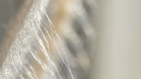 Delicate spider web with morning dew drops catching light, creating intricate patterns and textures in soft natural tones for nature photography concepts.