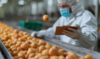 Quality control specialist in protective workwear inspecting fresh oranges on industrial conveyor belt during fruit processing and packaging in modern facility.