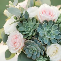 Soft pink roses and blue-green succulents arranged in elegant floral composition for wedding decor, botanical design, and romantic celebration events.