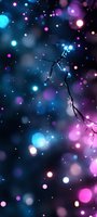 Magical winter branch with glowing lights against dark background featuring blue and pink bokeh effects, creating dreamy atmospheric night scene.