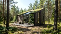 Modern cabin with large glass windows nestled among tall pine trees in forest setting, featuring contemporary architecture with green roof and wooden deck for residential retreat design.