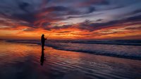 Silhouette of angler fishing at sunset on ocean beach with dramatic orange and purple sky reflecting on wet sand and gentle waves rolling onto shore.