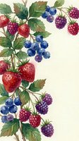 Watercolor mixed berries pattern with strawberries, blueberries and raspberries on cream background for kitchen decor and food packaging design.