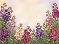 Watercolor garden scene with purple, pink, and white blooming flowers on a soft pastel background, perfect for greeting cards and prints.