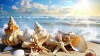 Seashells and starfish collection on sandy beach at sunset with ocean waves and dramatic sky, natural coastal arrangement for summer decor.