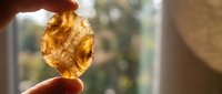 Hand holding translucent amber fossil specimen against sunlight revealing intricate prehistoric inclusions and natural golden textures for educational study.