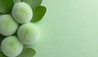 White fluffy dandelion seed heads with green leaves against soft green background, creating minimalist botanical composition for wellness and spa designs.