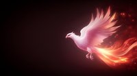 Mystical glowing phoenix with pink and orange flaming wings soars through dark space, trailing magical fire particles and ethereal light effects against black background.
