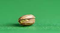 Roasted pistachio nut with green shell isolated on green background, ready for food packaging, culinary design, and nutritional content illustrations.