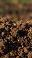 Rich brown fertile soil with organic matter and natural texture for gardening and agriculture projects.