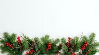 Evergreen branches with red berries and pinecones arranged in a festive horizontal garland on white background, suitable for holiday greeting cards and seasonal decorations.