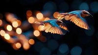 Two birds soar gracefully through warm bokeh lights creating magical evening atmosphere with golden illumination and dreamy background blur.