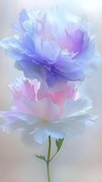 Delicate carnations in soft blue and pink pastels with ruffled petals against misty background, creating dreamy floral artwork suitable for romantic designs.