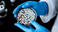 Medical researcher in blue latex gloves holding petri dish with white pharmaceutical pills and tablets for drug development and quality control testing.