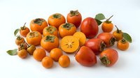 Assorted fresh persimmons and small orange fruits with green leaves arranged on white background, suitable for food photography, culinary design, healthy eating content, and grocery retail marketing.