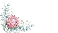 Watercolor pink protea flower with eucalyptus leaves on white isolated background, suitable for wedding invitations, greeting cards, and design projects.