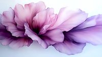 Ethereal pink and purple flower petals blend in delicate watercolor style, creating flowing abstract art with soft transparent layers and gentle color transitions.
