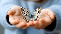 Gentle cupped hands holding delicate white and gray butterfly against soft blue background, creating serene and magical atmosphere for nature and wellness concepts.