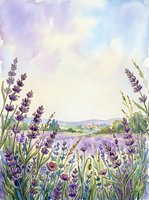 Watercolor lavender field landscape with purple flowers and rolling hills under soft pastel sky for botanical art and nature designs.