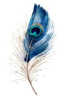 Blue peacock feather with gold accents, isolated on white background. Watercolor style artwork featuring turquoise eye spot and delicate barbs. Perfect for design projects.