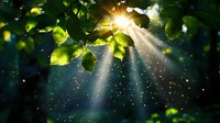 Magical sunbeams pierce through fresh green leaves creating ethereal bokeh effect and light rays in mystical forest atmosphere with floating particles.