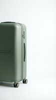 Sage green hardshell suitcase with spinner wheels and combination lock on white background, ready for travel and luggage retail use.