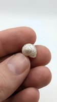 Caucasian male hand holding a tiny white spiral seashell with intricate texture against a light background, showcasing natural ocean treasure.