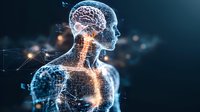 Futuristic digital visualization of human nervous system and brain activity shown through glowing network connections on dark background with bokeh effects.
