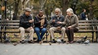 Four elderly friends sitting on park bench enjoying conversation and companionship in autumn setting with fallen leaves and pigeons nearby.