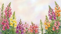 Watercolor snapdragon flowers in vibrant pink, purple, yellow and orange hues creating colorful garden border on soft pastel background for spring designs.