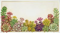Succulent plants and flowering herbs arranged in a decorative border on cream background, isolated for design use on textiles and crafts.