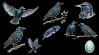 Iridescent starling bird clipart set with feather and egg, isolated on transparent background. Great for t-shirt design, stickers, print on demand, and sublimation.