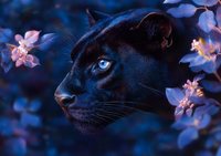Black panther head profile with bright blue eyes surrounded by delicate pink cherry blossoms against dark blue mystical background, wildlife artistic portrait.
