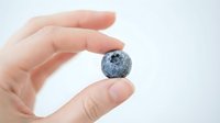 Close-up of a hand holding a fresh blueberry against a white background, suitable for food, nutrition, and healthy eating content.