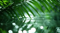 Lush palm fronds hanging over tranquil water surface with soft bokeh light effects creating peaceful tropical atmosphere, nature wellness background.