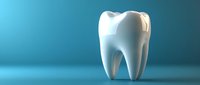 White molar tooth model on blue background, dental care concept for dentistry, oral hygiene, and healthcare professionals.