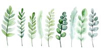 Delicate watercolor green leaves and branches arranged in horizontal line on white background, botanical art elements for nature-inspired designs.