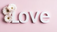 White decorative letters spelling love with fresh gerbera daisies on soft pink background, romantic minimalist composition for valentines day and wedding designs.