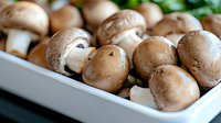 Fresh brown champignon mushrooms in white ceramic dish, macro food photography with selective focus and natural lighting for cooking and menu design.