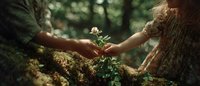 Two hands gently protecting a small green plant seedling growing from mossy forest ground, symbolizing environmental care, growth, and nature conservation.